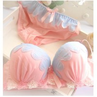 الملابس الداخلية